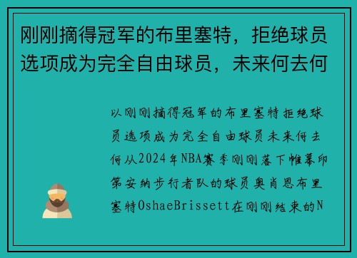 刚刚摘得冠军的布里塞特，拒绝球员选项成为完全自由球员，未来何去何从？