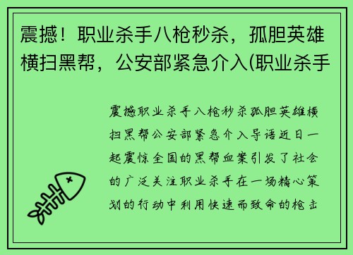 震撼！职业杀手八枪秒杀，孤胆英雄横扫黑帮，公安部紧急介入(职业杀手落网)